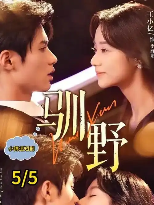 深蓝回响都市悬疑电视剧在线观看